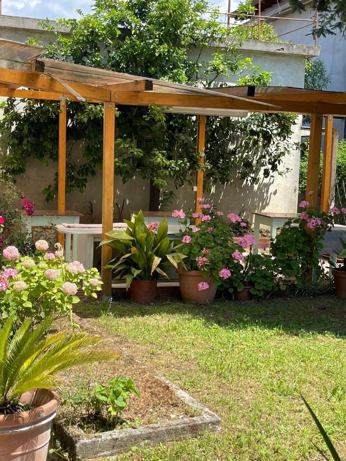 Casa Violetta Bed & Breakfast Marina di Massa Exterior foto